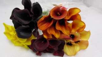 Calla Assorted 60cm
